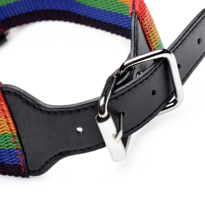 Master Series Kinky Pride Rainbow Bondage Set Master Series Couples