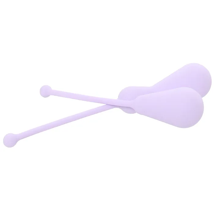 CalExotics Female Sex Toys Dr Berman Silicone Kegel Set