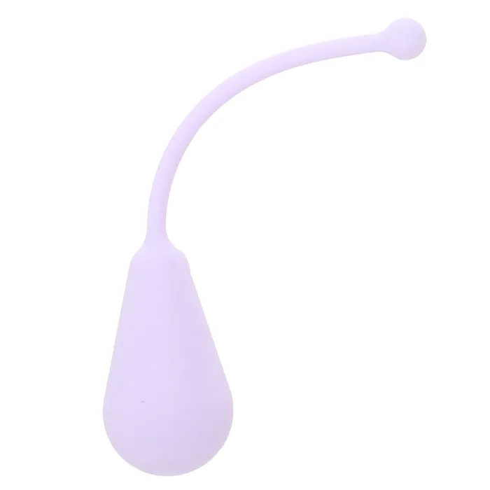 CalExotics Female Sex Toys Dr Berman Silicone Kegel Set