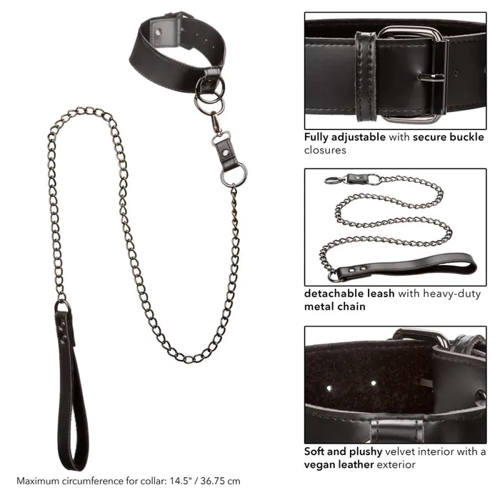California Exotic Novelties Anal California Exotic Novelties Euphoria Collar with Chain Leash in Black