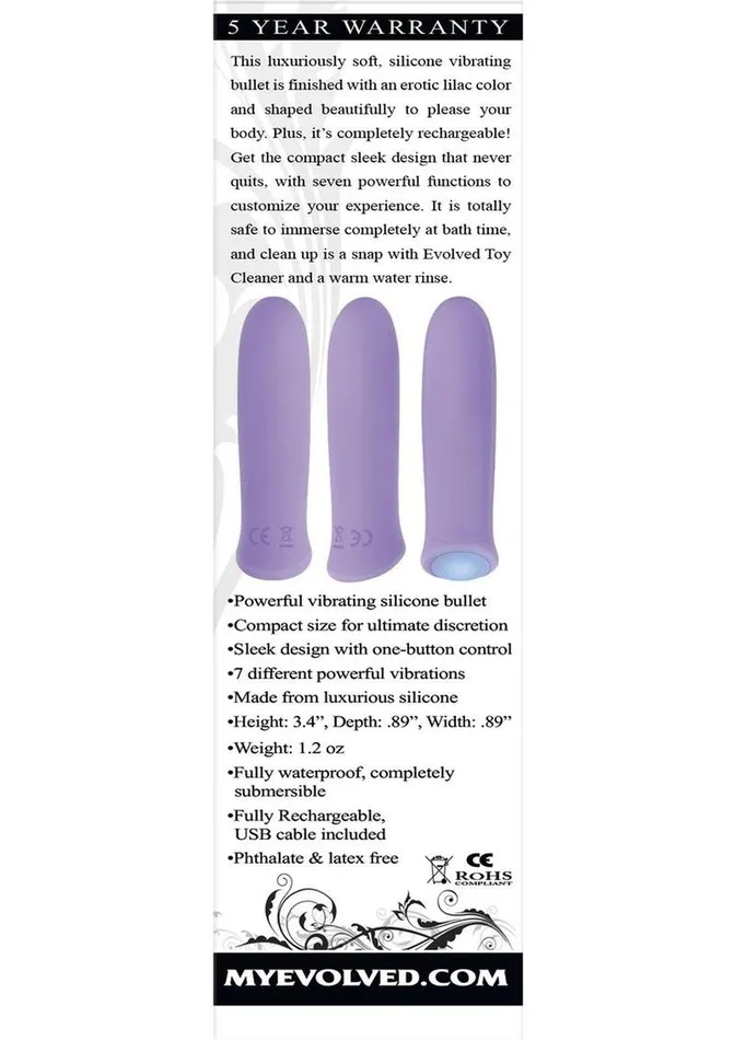 Evolved Female Sex Toys Purple Haze Rechargeable Silicone Bullet