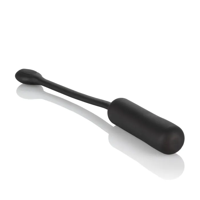 Wristband Remote Petite Bullet CalExotics Female Sex Toys Wristband Remote Petite Bullet CalExotics Female Sex Toys
