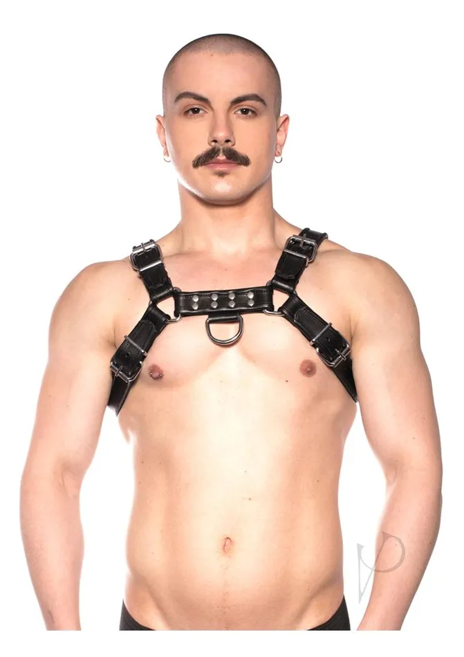 Anal Prowler Red Bull Harness Black Md Prowler Red