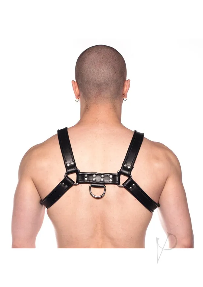 Anal Prowler Red Bull Harness Black Md Prowler Red