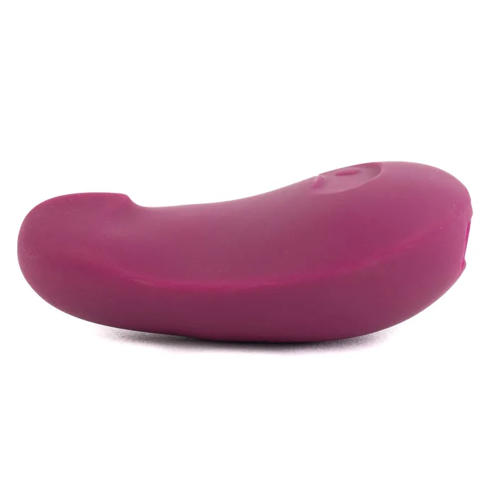 Dame Products Vibrators Dame Pom