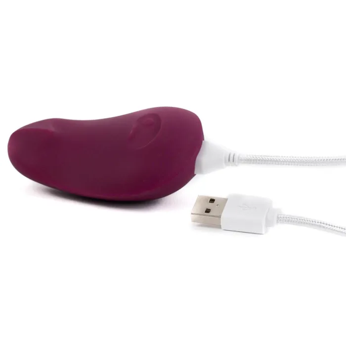 Dame Products Vibrators Dame Pom