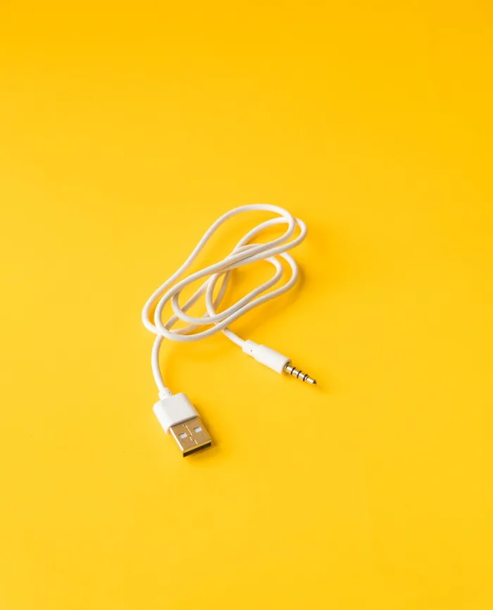 Vibrators Hedonist Tribe USB Charging Cable Jack Pin