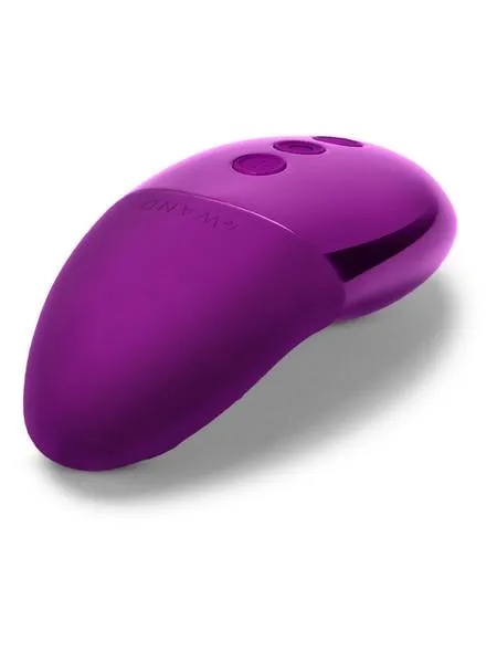 Le Wand Vibrators Le Wand Chrome Collection Point Vibrator