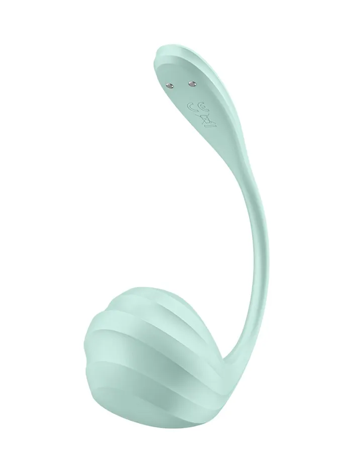 Vibrators SATISFYER Satisfyer Smooth Petal App Controlled GSpot Egg Vibrator