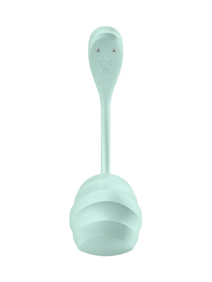 Vibrators SATISFYER Satisfyer Smooth Petal App Controlled GSpot Egg Vibrator