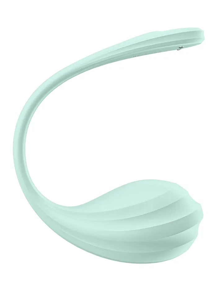 Vibrators SATISFYER Satisfyer Smooth Petal App Controlled GSpot Egg Vibrator