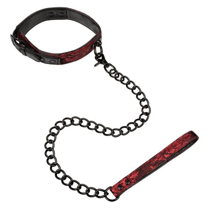California Exotics Scandal Collar With Leash Male Sex Toys
