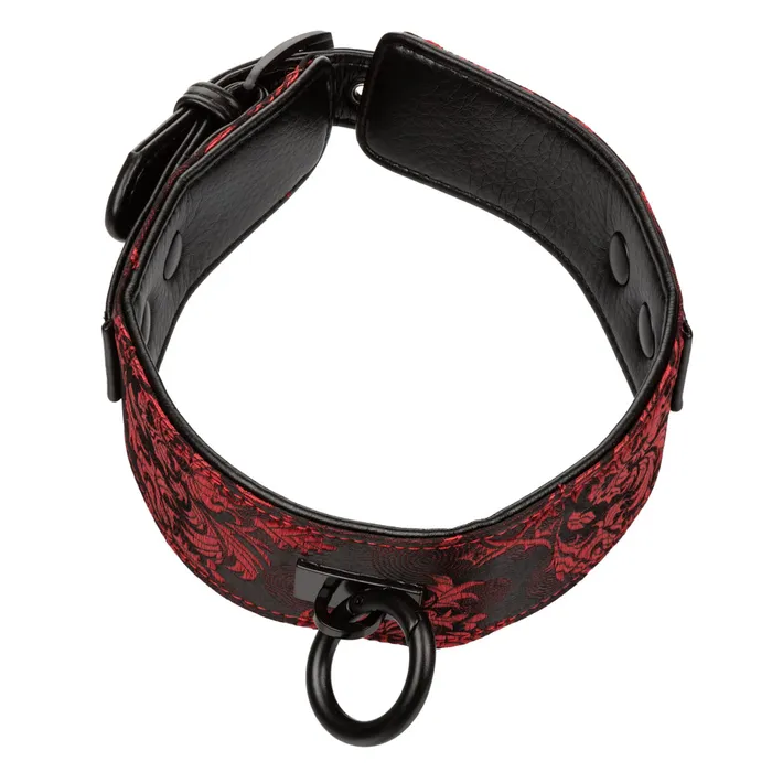 California Exotics Scandal Collar With Leash Male Sex Toys