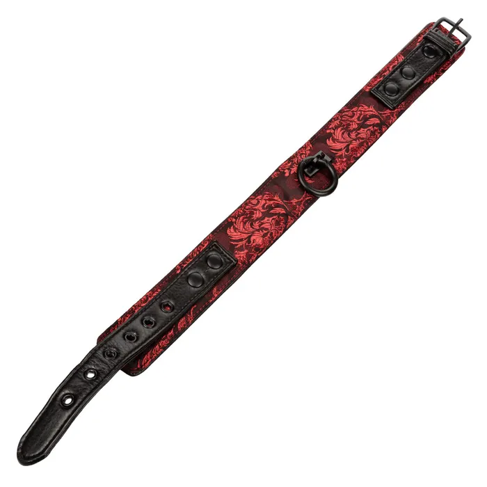 California Exotics Scandal Collar With Leash Male Sex Toys