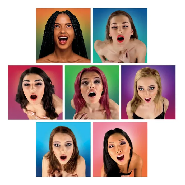 Vibrators Landmark Wanky Hankies Printed Facial Tissues