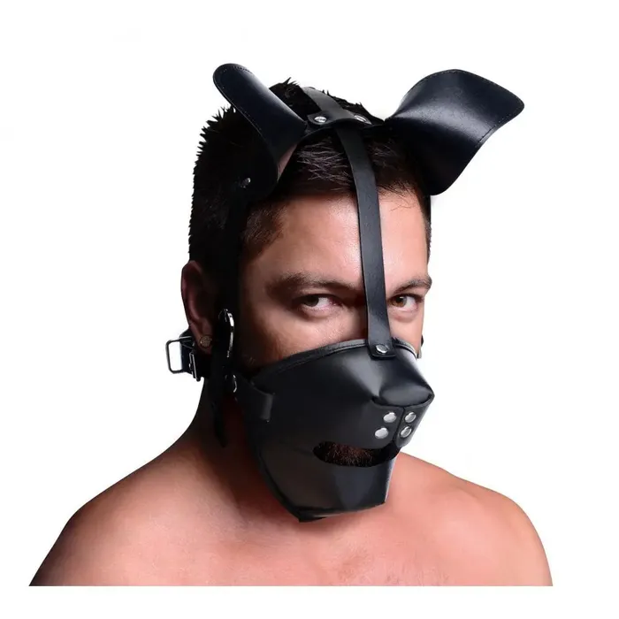 Couples Master Series BDSM Pup Puppy Play Hood and Breathable Ball Gag Couples Master Series BDSM Pup Puppy Play Hood and Breathable Ball Gag
