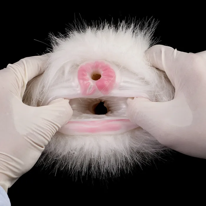 DirtyToyz Male Sex Toys Arctic Beast Furry Fleshlight DualHole Fantasy Masturbator DirtyToyz Male Sex Toys Arctic Beast Furry Fleshlight DualHole Fantasy Masturbator