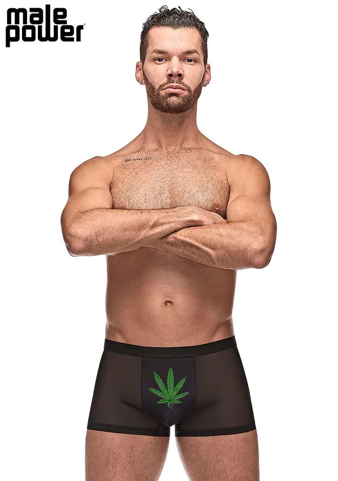 Male Power Anal Private Screening Pot Leaf Pouch Short Black