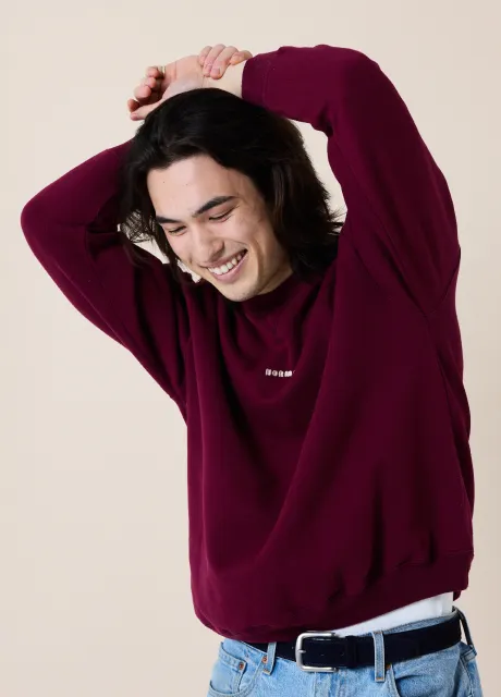 Normal Technologies Dildos The Pullover Normal Technologies Dildos The Pullover