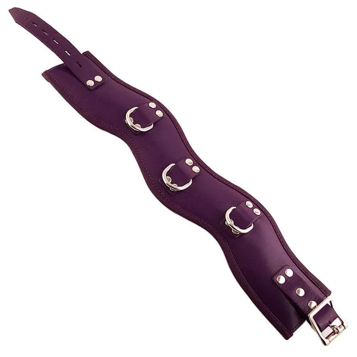 Rouge Garments Purple Padded Posture Collar Rouge Garments Vibrators