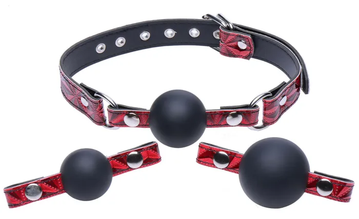 Triad Interchangeable Silicone Ball Gag Holiday Blowout Sale Male Sex Toys