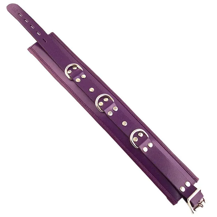Vibrators Rouge Garments Rouge Garments Purple Padded Collar