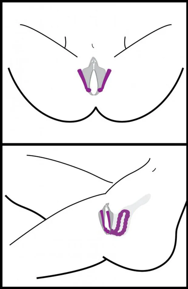 XR Brands Frisky Vibrators Oral Enhancing Hands Free Labia Spreader